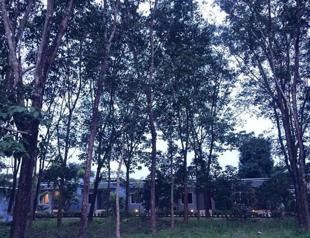 Saiyuan Garden Resort Rawai Luaran gambar
